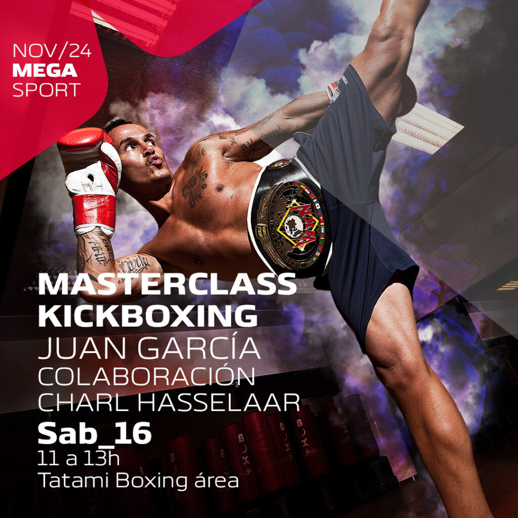 MASTERCLASS KICKBOXING