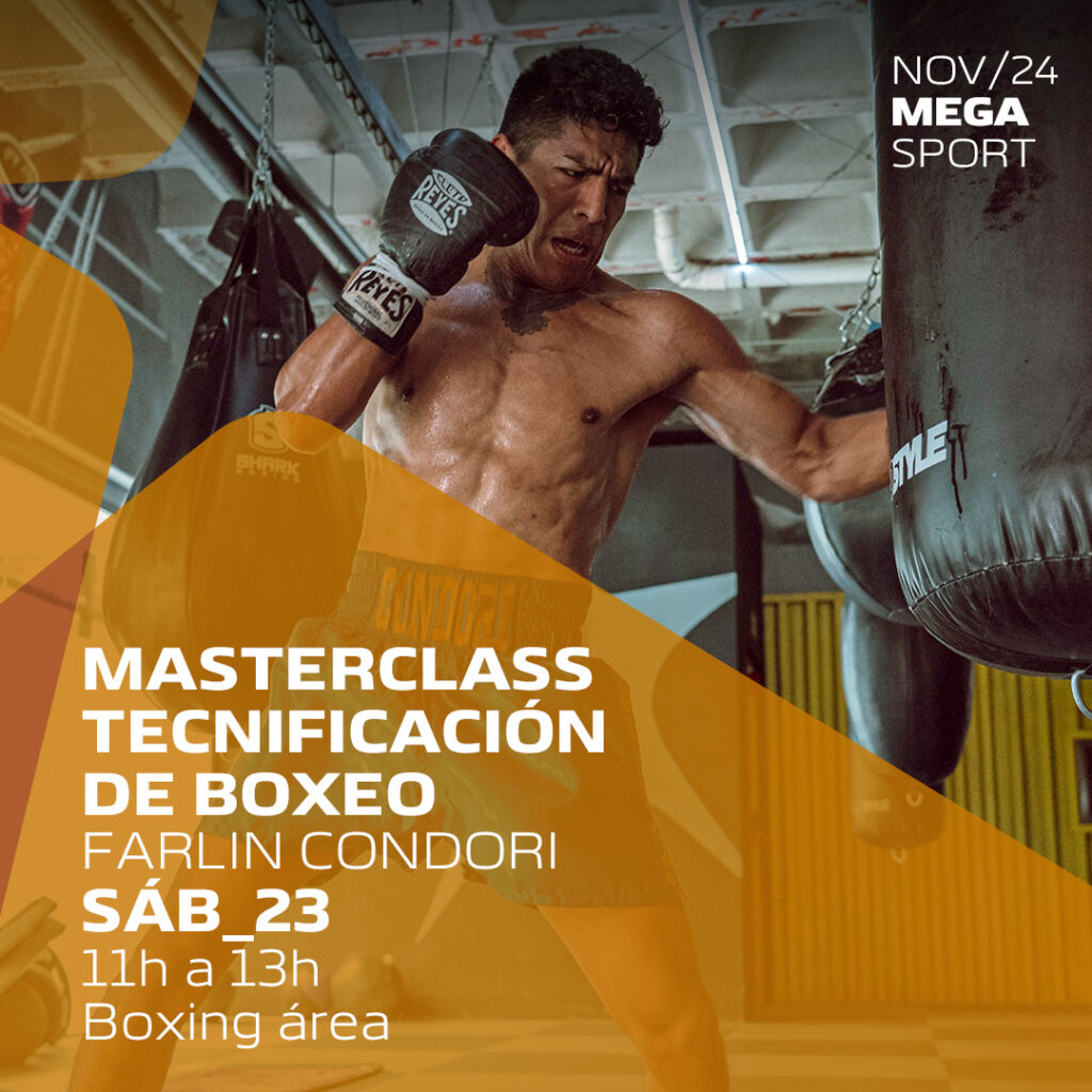 MASTERCLASS TECNIFICACIÓN BOXEO