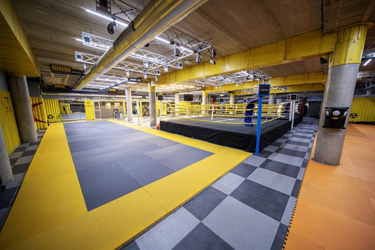 Tatami und Boxring
