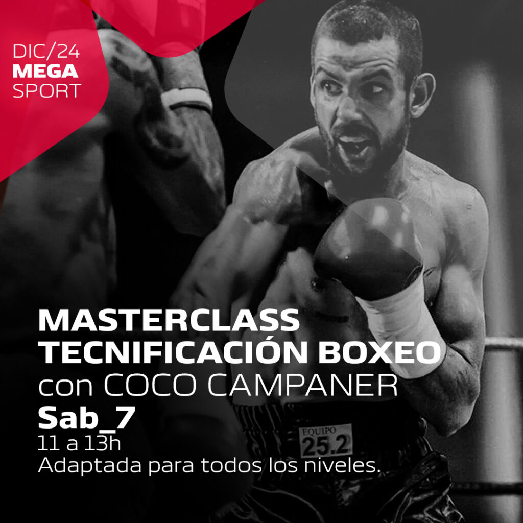 MASTERCLASS TECNIFICACIÓN BOXEO