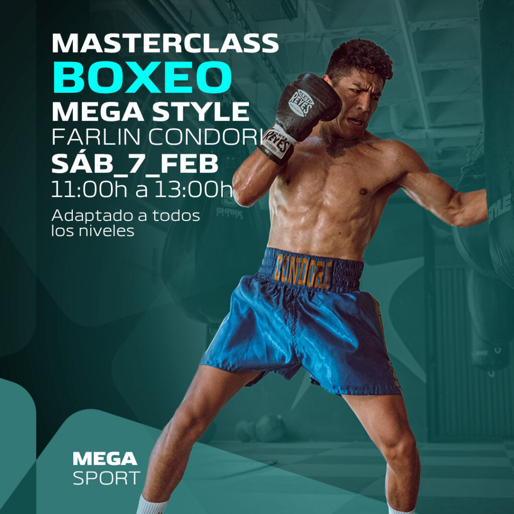 BOX-MASTERCLASS – MEGA STYLE