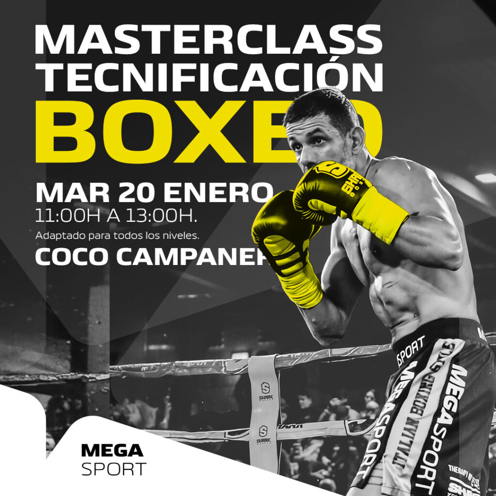 BOXING TECHNIFICATION MASTERCLASS