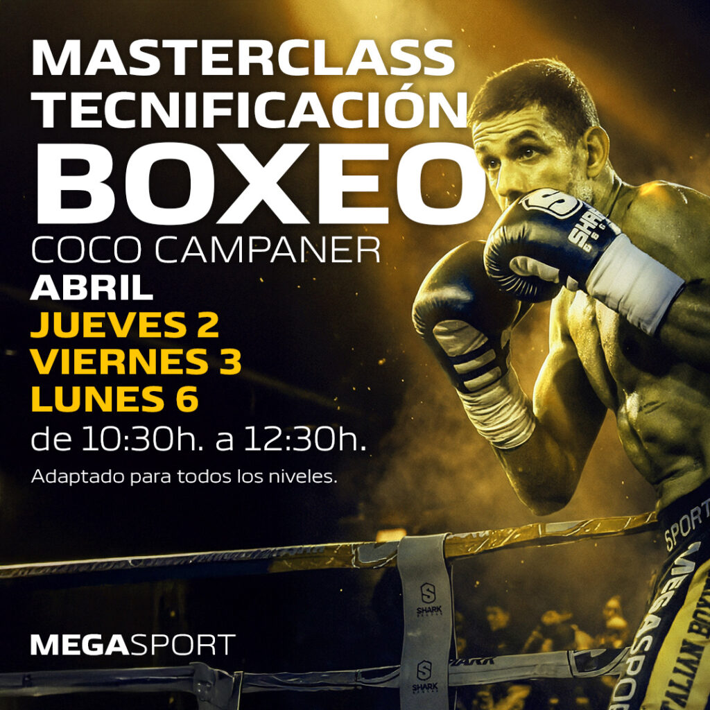 BOX-TECHNIK MASTERCLASS
