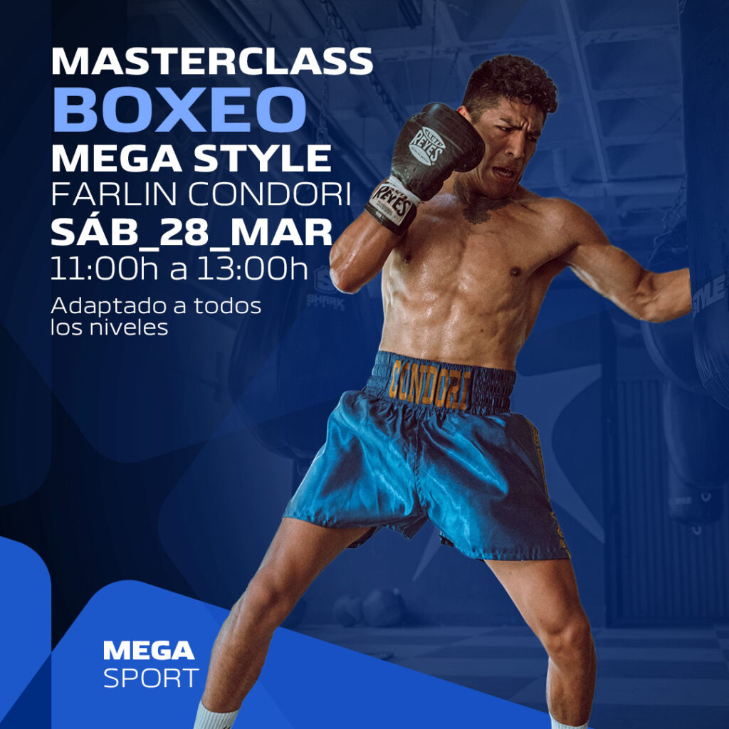 BOX-MASTERCLASS MEGA STYLE