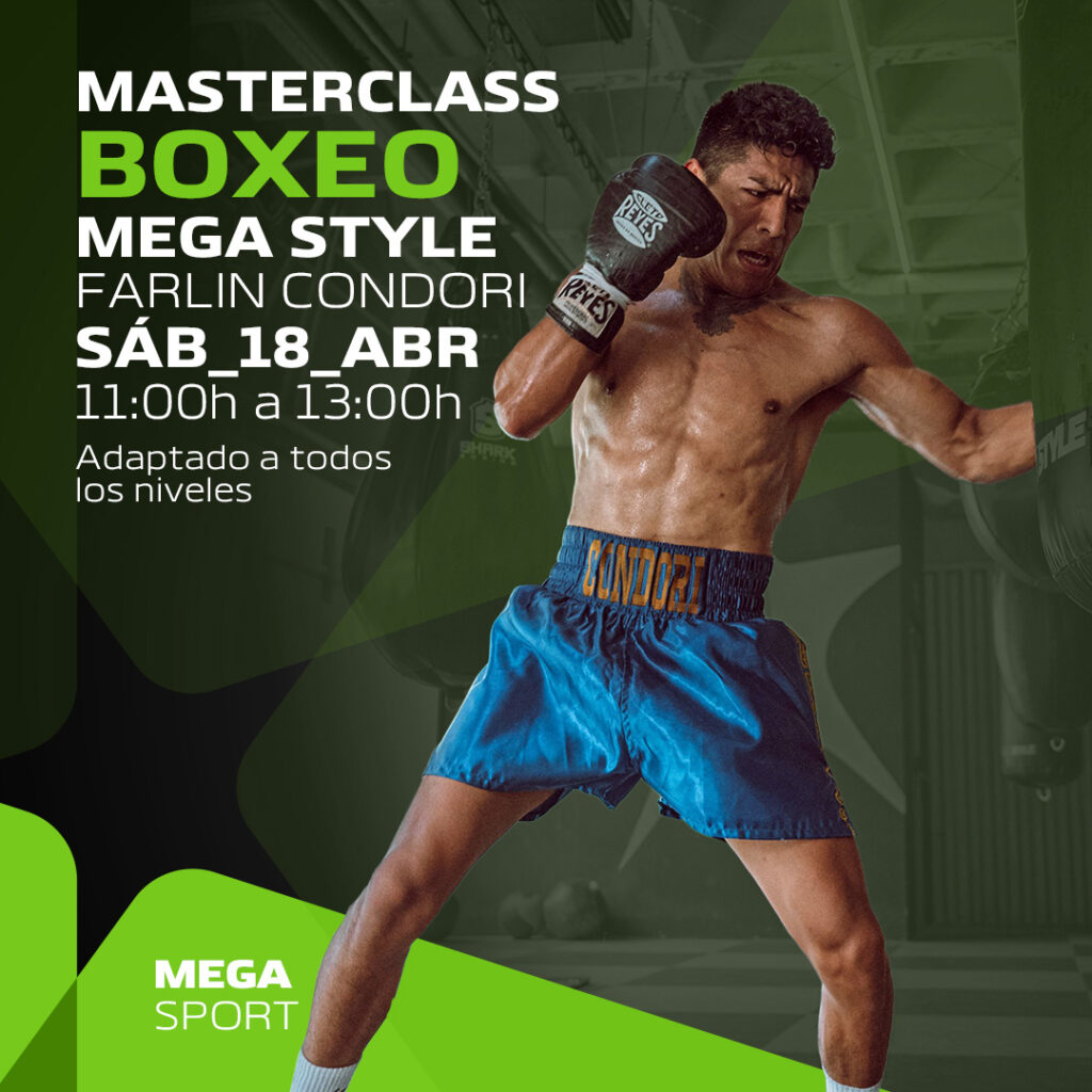 BOX-MASTERCLASS MEGA STYLE