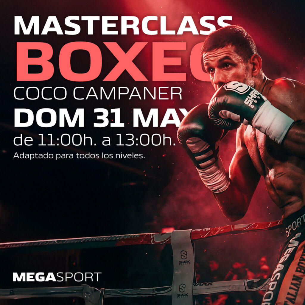 BOXING MASTERCLASS