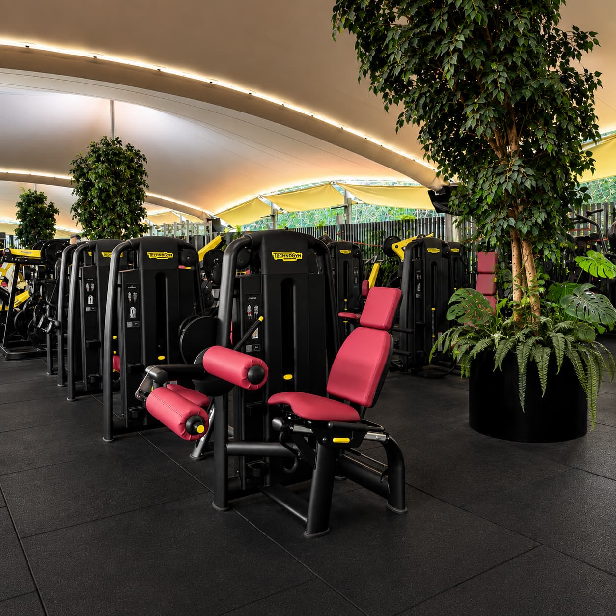 Instalaciones Megasport 1