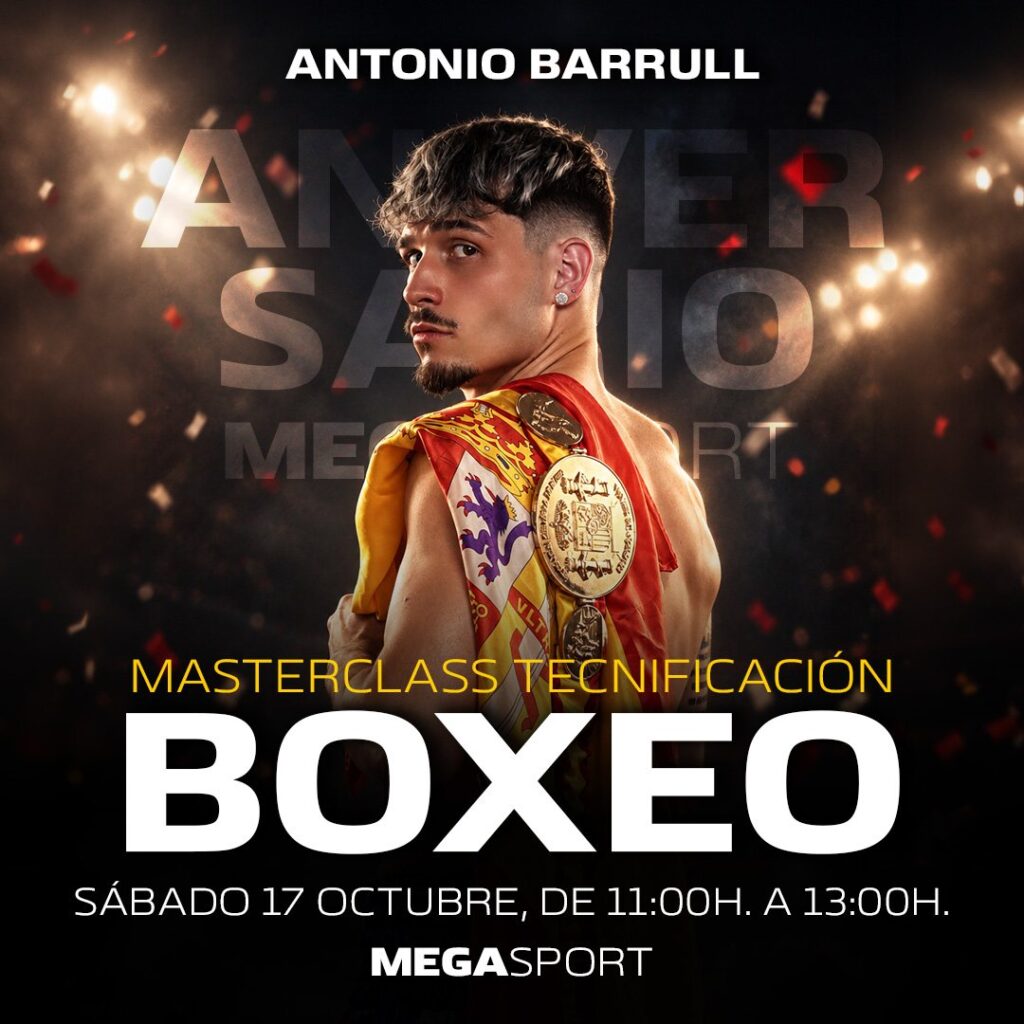 BOX-TECHNIK MASTERCLASS